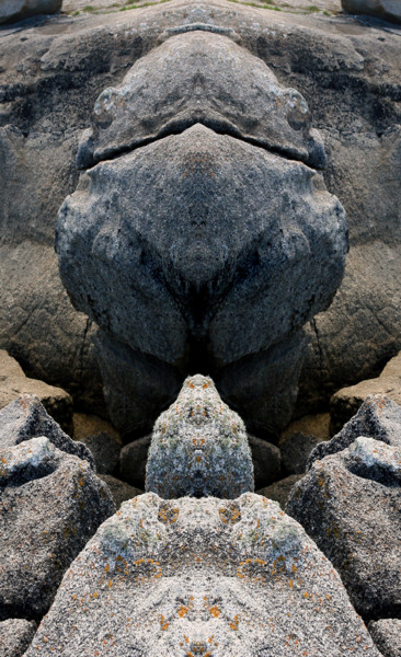 Photography titled "Monstre minéral-03" by Gabriel Cotelle, Original Artwork, Manipulated Photography