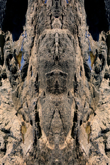 Photography titled "Monstre minéral-08" by Gabriel Cotelle, Original Artwork, Manipulated Photography