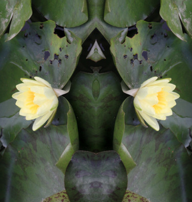 Photographie intitulée "Monstre végétal-21" par Gabriel Cotelle, Œuvre d'art originale, Photographie manipulée