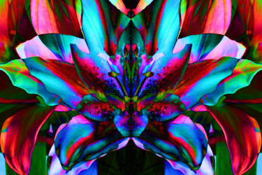 Photographie intitulée "Fleur de mon jardin…" par Gabriel Cotelle, Œuvre d'art originale, Photographie numérique
