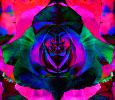 Photographie intitulée "fleur de mon jardin…" par Gabriel Cotelle, Œuvre d'art originale, Photographie numérique