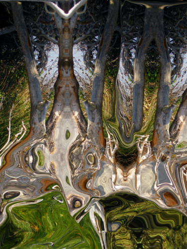 Photographie intitulée "Délire végétal" par Gabriel Cotelle, Œuvre d'art originale, Photographie manipulée