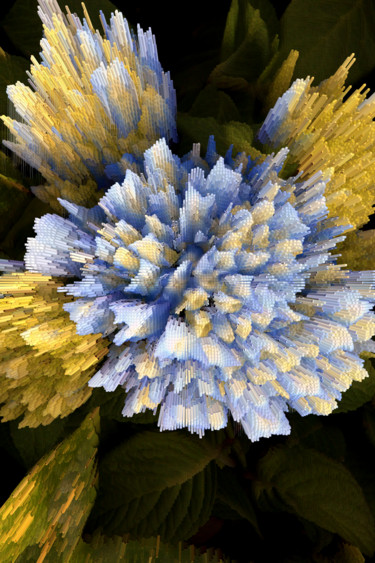 Arts numériques intitulée "Explosion florale 01" par Gabriel Cotelle, Œuvre d'art originale, Travail numérique 2D