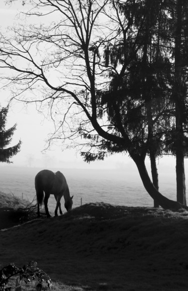 Photographie intitulée "pn-251" par Gabriel Cotelle, Œuvre d'art originale