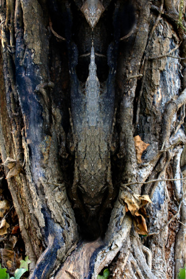 Фотография под названием "Ces arbres  hantés…" - Gabriel Cotelle, Подлинное произведение искусства, Цифровая фотография