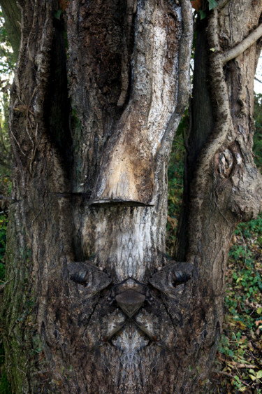 Fotografia intitolato "Ces arbres  hantés…" da Gabriel Cotelle, Opera d'arte originale, Fotografia digitale