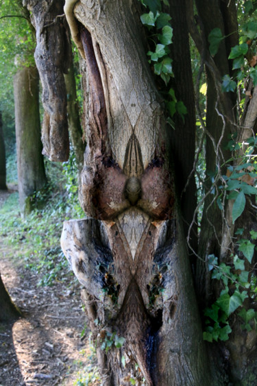 Fotografia zatytułowany „Ces arbres  hantés…” autorstwa Gabriel Cotelle, Oryginalna praca, Fotografia cyfrowa