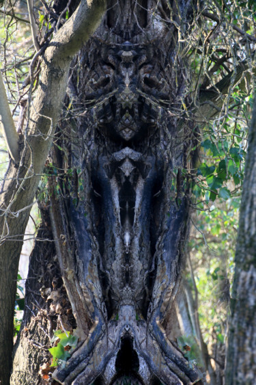 Fotografia intitolato "Ces arbres  hantés…" da Gabriel Cotelle, Opera d'arte originale, Fotografia digitale