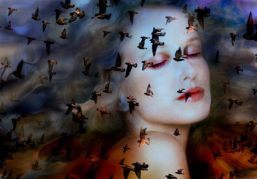 Digital Arts titled "Quand passent les z…" by Gabriel Cotelle, Original Artwork, Photo Montage