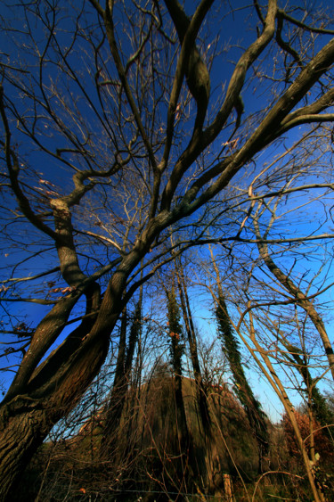 P5-64 Photographie intitulée "P5-64" par Gabriel Cotelle, Œuvre d'art originale, Photographie numérique
