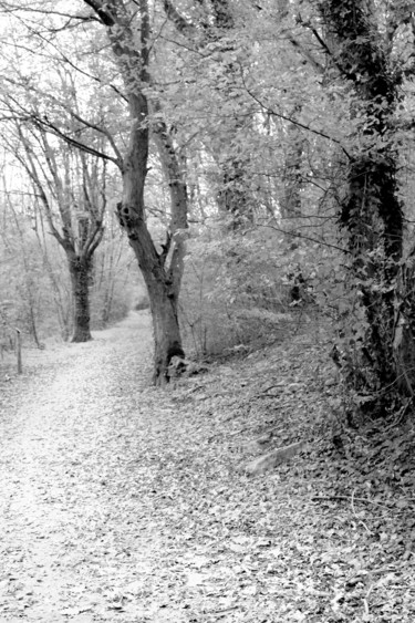 Photographie intitulée "NB-046" par Gabriel Cotelle, Œuvre d'art originale, Photographie numérique