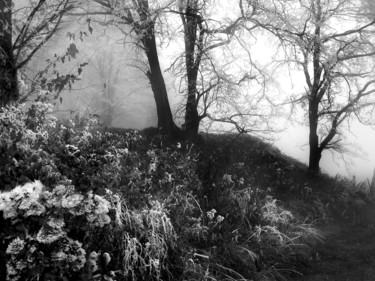 Photographie intitulée "C.L.H. (c'est l'hiv…" par Gabriel Cotelle, Œuvre d'art originale, Photographie numérique