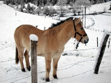 Photography titled "Seul dans la neige…" by Gabriel Cotelle, Original Artwork, Digital Photography