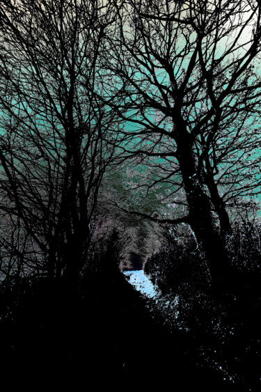 Arts numériques intitulée "Au clair de la lune" par Gabriel Cotelle, Œuvre d'art originale, Photo montage