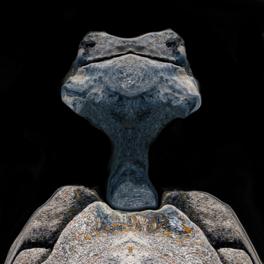 Цифровое искусство под названием "E.T. fossilisé" - Gabriel Cotelle, Подлинное произведение искусства, 2D Цифровая Работа