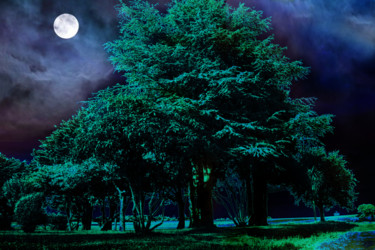 Photographie intitulée "Au clair de la lune…" par Gabriel Cotelle, Œuvre d'art originale, Photographie numérique