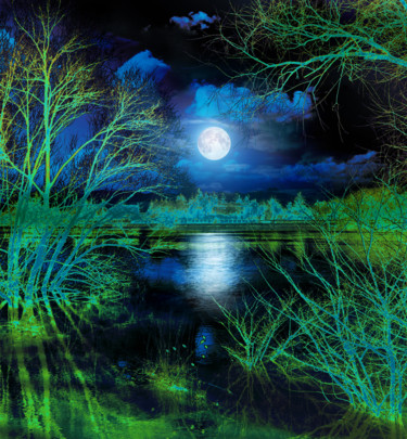 Photographie intitulée "Au clair de la lune…" par Gabriel Cotelle, Œuvre d'art originale, Photographie numérique