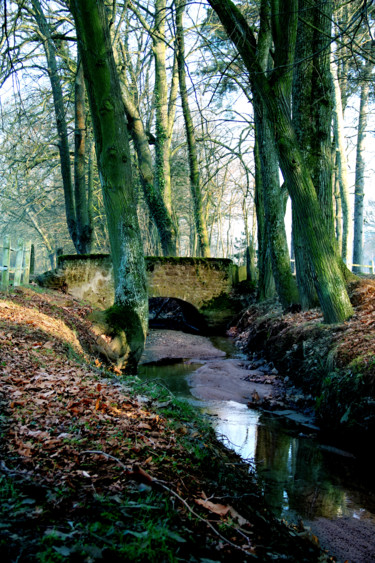 Photography titled "le petit pont de pi…" by Gabriel Cotelle, Original Artwork, Digital Photography