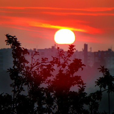 「Sunset」というタイトルの写真撮影 Gabriel Cotelleによって, オリジナルのアートワーク, デジタル