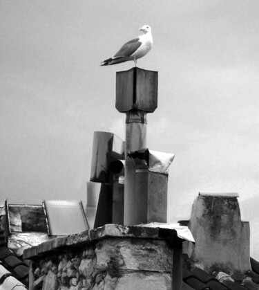 Photographie intitulée "La girouette 2" par Gabriel Cotelle, Œuvre d'art originale, Photographie numérique