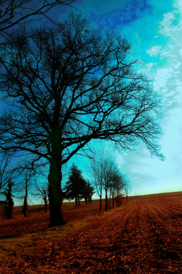 Fotografia intitulada "La terre est bleue…" por Gabriel Cotelle, Obras de arte originais, Fotografia digital