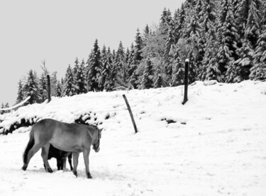 Photography titled "Jour d'hiver 4/4" by Gabriel Cotelle, Original Artwork, Digital Photography