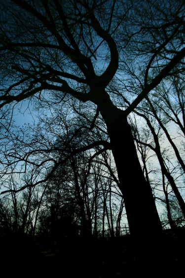 Photographie intitulée "Silhouette inquiéta…" par Gabriel Cotelle, Œuvre d'art originale, Photographie numérique