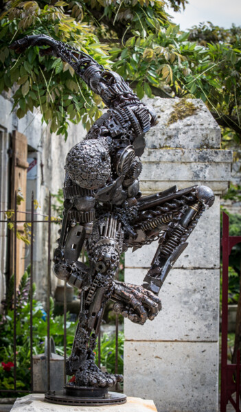 Sculpture intitulée "robots" par Gaby, Œuvre d'art originale, Métaux