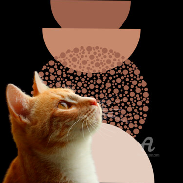 Artes digitais intitulada "Meu gato observador" por Gabriela Radiante, Obras de arte originais, Modelagem 3D