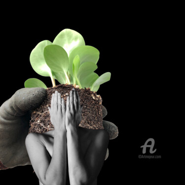Digital Arts titled "A fertile mind" by Gabriela Radiante, Original Artwork, Digital Collage
