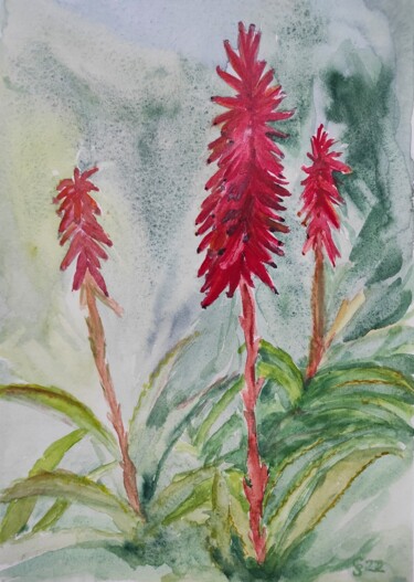 Malerei mit dem Titel "Aloe Vera rote Blüt…" von Gabriele Schewe, Original-Kunstwerk, Aquarell