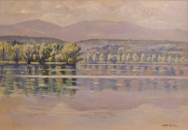 Painting titled "Lago" by Gabriele Petrosino, Original Artwork, Oil