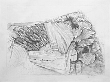 Drawing titled "Natura 3" by Gabriella Porpora, Original Artwork, Pencil