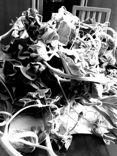 Tenerumi Photographie intitulée "Tenerumi" par Gabriella Lupo, Œuvre d'art originale, Photographie non manipulée