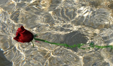 Fotografia zatytułowany „Rose in water” autorstwa Gaël Judic, Oryginalna praca, Fotografia cyfrowa