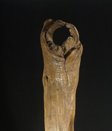 Скульптура под названием "Le cercle parfait" - Gaël Maryn, Подлинное произведение искусства, Дерево