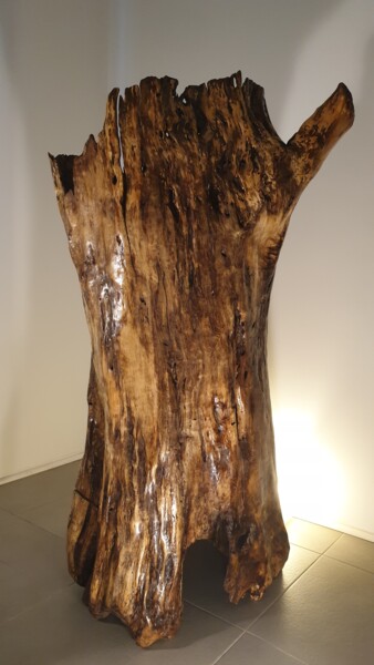 Sculpture intitulée "Tronc creux" par Gaël Maryn, Œuvre d'art originale, Bois