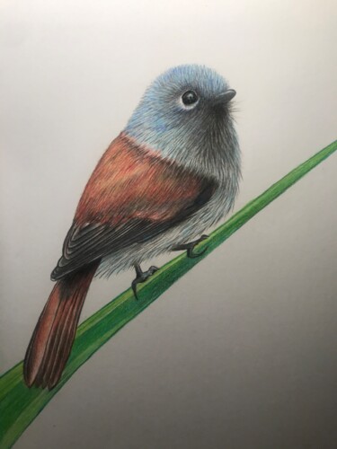 Dessin intitulée "Oiseau la Vierge" par Gaëlle Martin, Œuvre d'art originale, Crayon