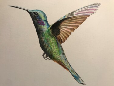 Dessin intitulée "Colibri de Lou" par Gaëlle Martin, Œuvre d'art originale, Crayon