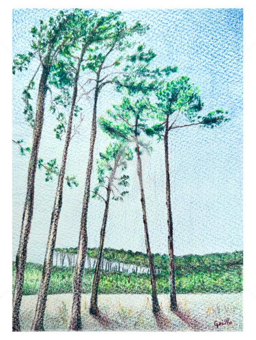 Dibujo titulada "Les pins des Landes" por Gaëlle, Obra de arte original, Lápiz