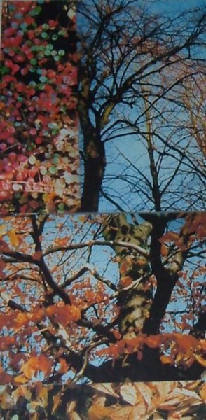 Photography titled "autumn" by Gail Fletcher, Original Artwork