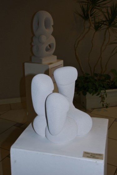 Sculpture intitulée "Shape" par Didier Gailhard, Œuvre d'art originale