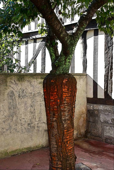 Photographie intitulée "l-arbre-carrote.jpg" par Didier Gailhard, Œuvre d'art originale