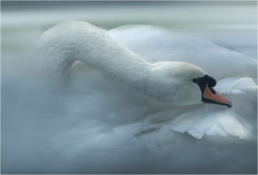 Arte digitale intitolato "White Swan" da Gai Yu, Opera d'arte originale, Stampa digitale