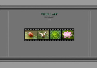 Digital Arts titled "Webpage" by Gai Yu, Original Artwork, 2D Digital Work