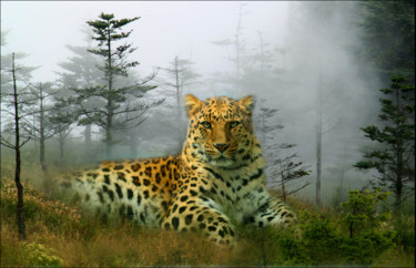 Photography titled "Leopard." by Gai Yu, Original Artwork, Manipulated Photography