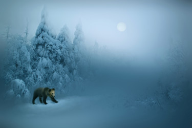 Photographie intitulée "Snow" par Gai Yu, Œuvre d'art originale, Travail numérique 2D