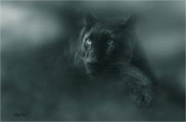 Photography titled "Panther" by Gai Yu, Original Artwork, Digital Photography