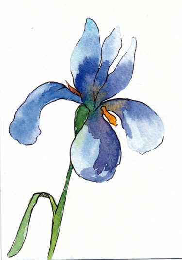 Painting titled "iris1" by Galerie Kawak, Original Artwork, Watercolor