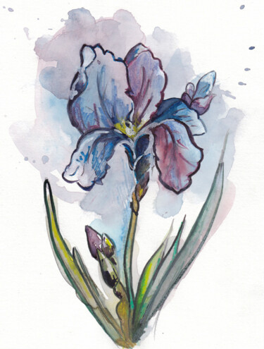 Painting titled "iris4" by Galerie Kawak, Original Artwork, Watercolor